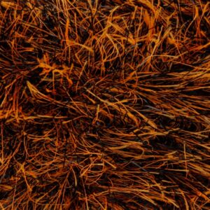 King Cole Tinsel Chunky 1994 Foxy RRP £3.09