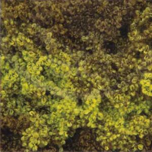 Lanas Stop Enebro 203 Greens RRP £8.49