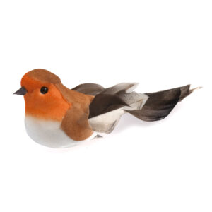 Small Robin Feathered Clipped