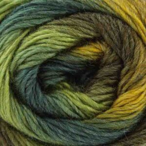 King Cole Riot DK 1689 Foliage RRP £5.71